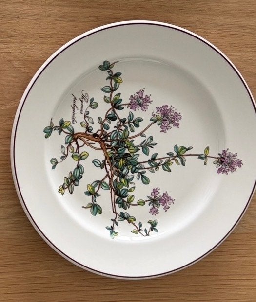 Villeroy & Boch Botanica borden 21cm - 4 stuks, Klassiek, Villeroy & Boch, Ophalen of Verzenden, Zo goed als nieuw