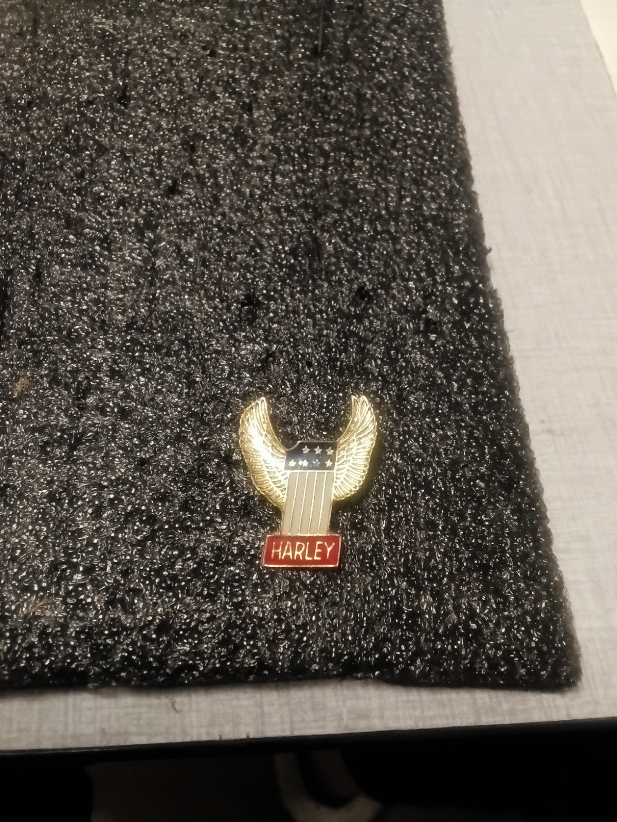 Prachtig speldje van motoren van "" HARLEY "", Ophalen of Verzenden, Zo goed als nieuw
