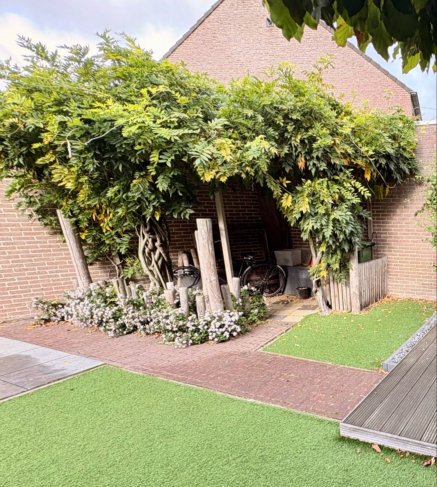 *T.e.a.b.: Blauwe en witte Wisteria met houten frame*, Overige soorten, Lente, 250 tot 400 cm, Ophalen