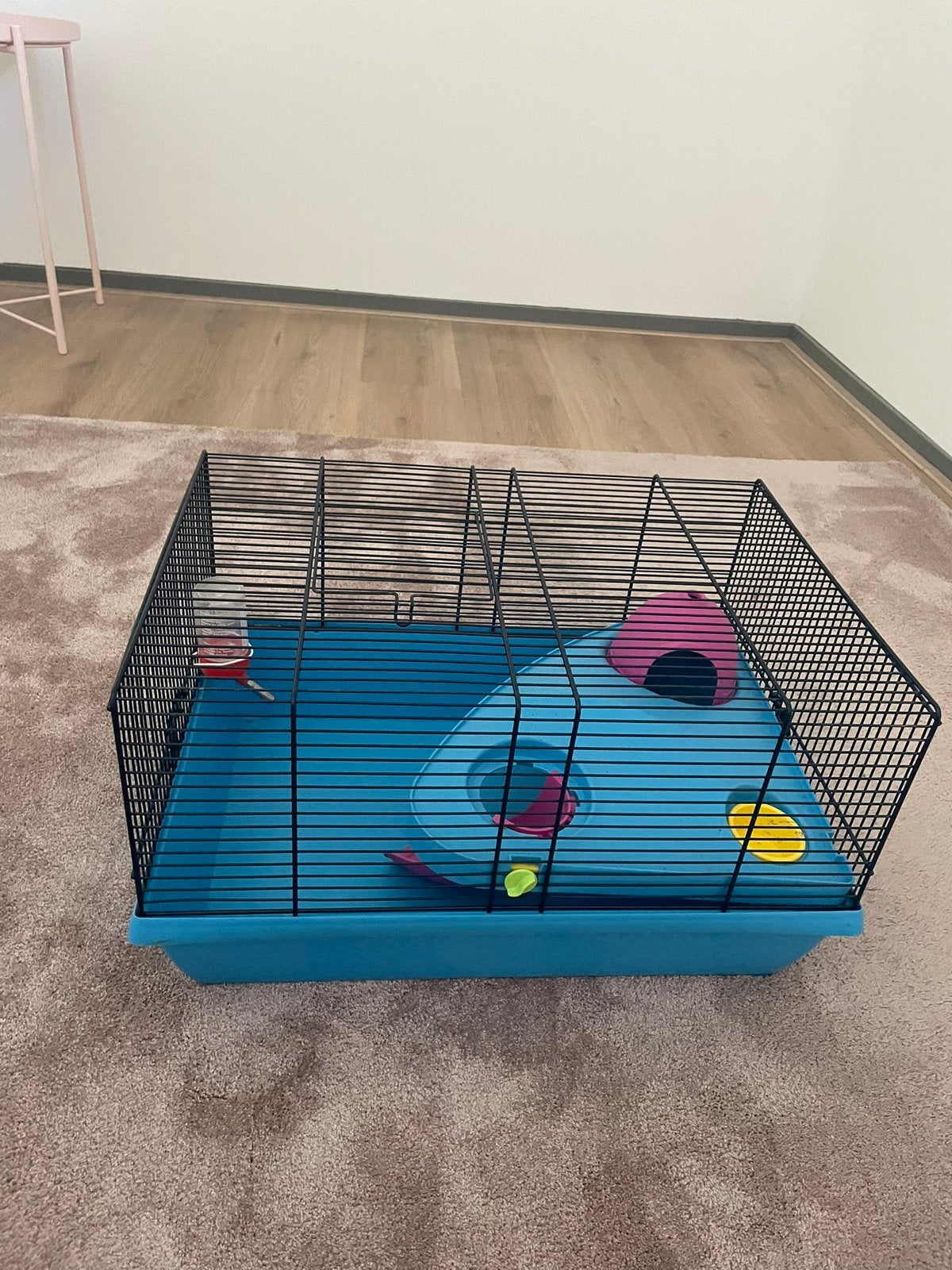 Gratis: Mooi kleurrijk hamster hok, Gebruikt, Minder dan 75 cm, Ophalen, Minder dan 60 cm