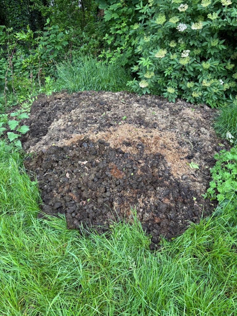 Gratis paardenmest, Ophalen of Verzenden