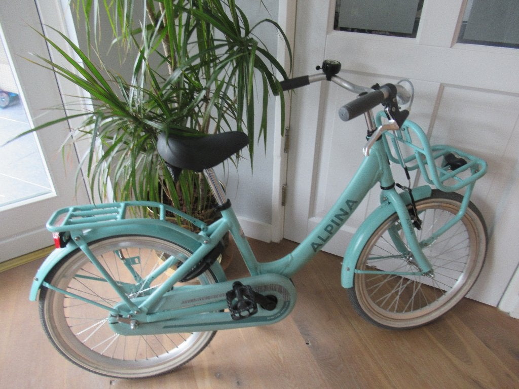 Alpina Clubb kinderfiets meisjesfiets 20 inch mintgroen, Ophalen, Alpina clubb cargo, 20 inch, Handrem