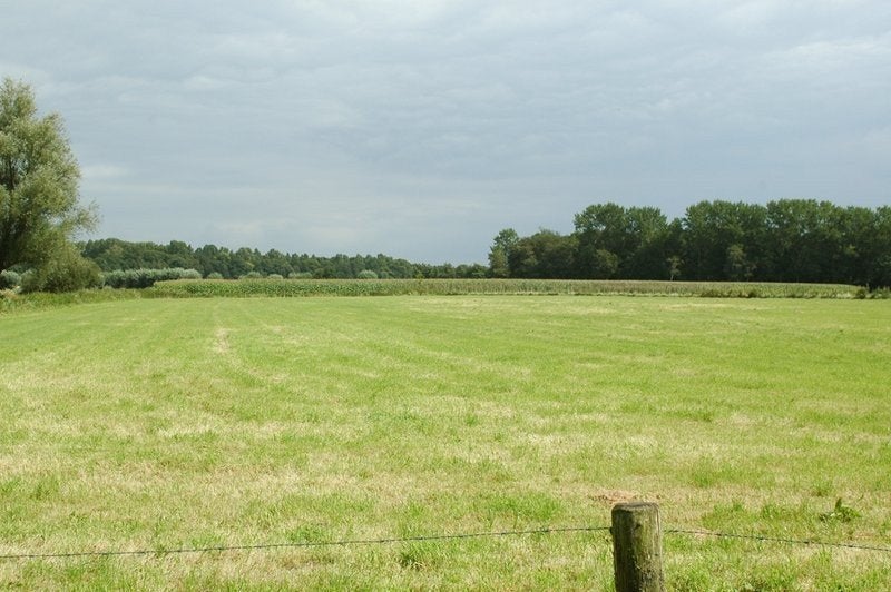 gezocht weiland/ weiland /gras  in eigenbeheer!!