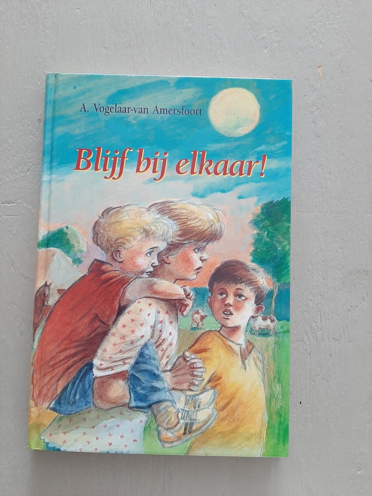 Blijf bij elkaar- A. Vogelaar-van Amersfoort.

A.V.I.7

Taal, Boeken, Ophalen of Verzenden, Gelezen, Fictie