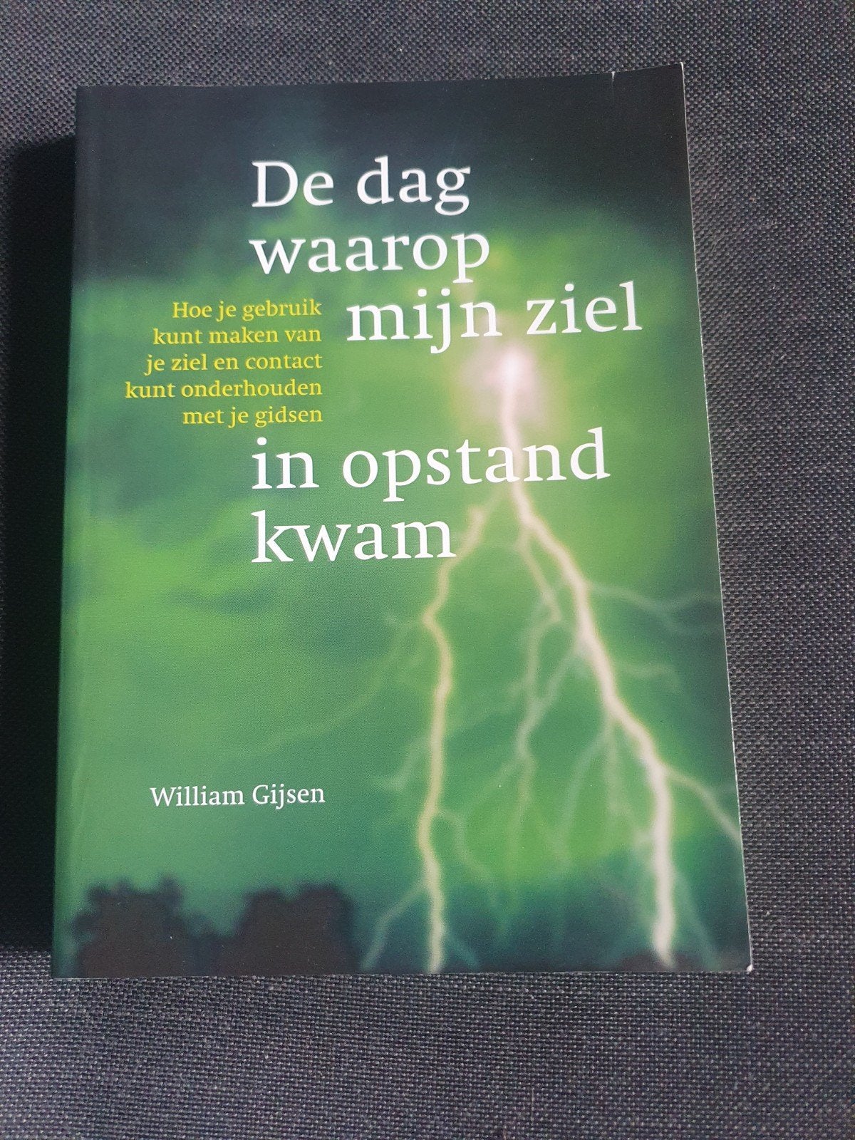 De dag waarop mijn ziel in opstand kwam - William Gijsen, Gelezen, Achtergrond en Informatie, Ziel of Sterfelijkheid, Ophalen of Verzenden