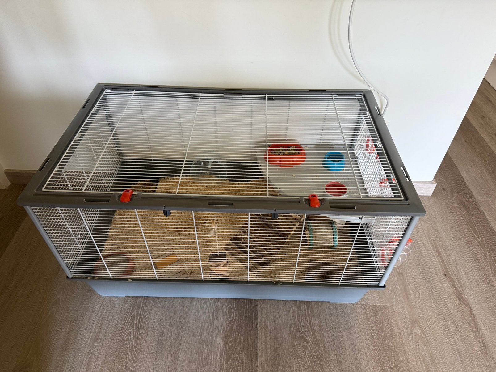 Hamster en kooi met toebehoren en reiskooi, Kooi, Zo goed als nieuw, Hamster, 75 tot 110 cm