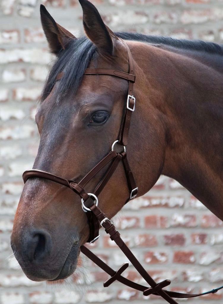 Waldhausen bitloos hoofdatel sidepull bruin, Dieren en Toebehoren, Ophalen of Verzenden