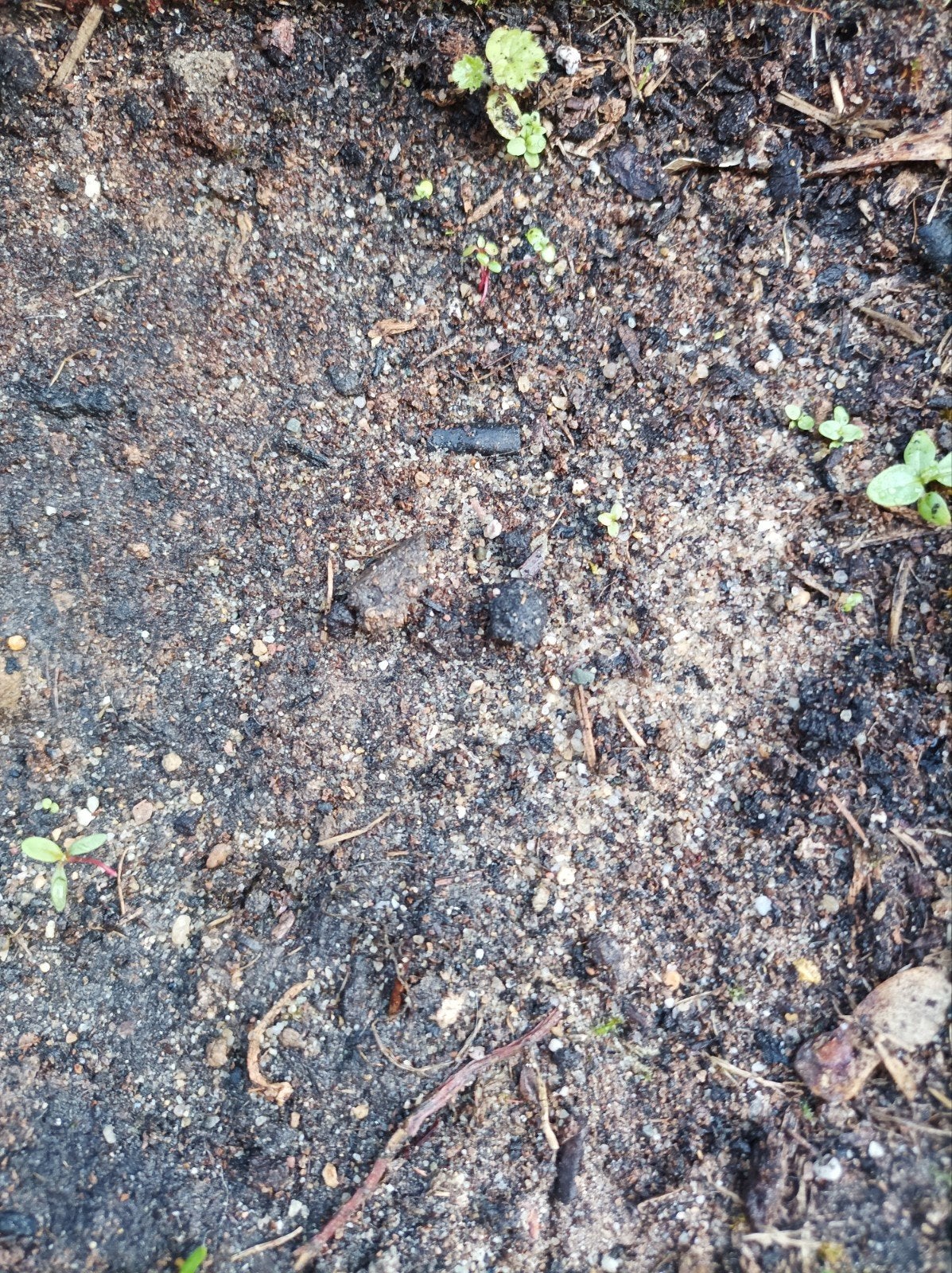 Schone grond vulgrond tuinaarde, Ophalen, Tuinaarde
