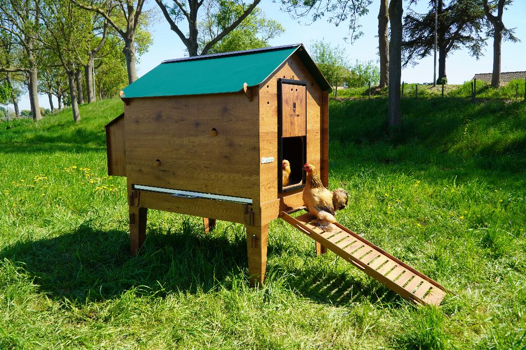 Trespa Kippenhok Cucciolotta Classic XL | Op Pootjes, Dieren en Toebehoren, Pluimvee | Toebehoren, Ophalen of Verzenden, Nieuw