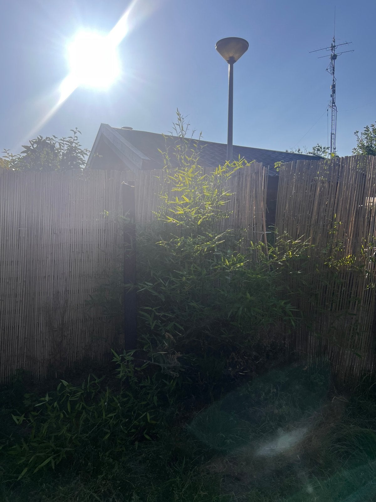 Hovenier/tuin man gezocht, Ophalen, Minder dan 50 watt, Staande lamp, Netvoeding