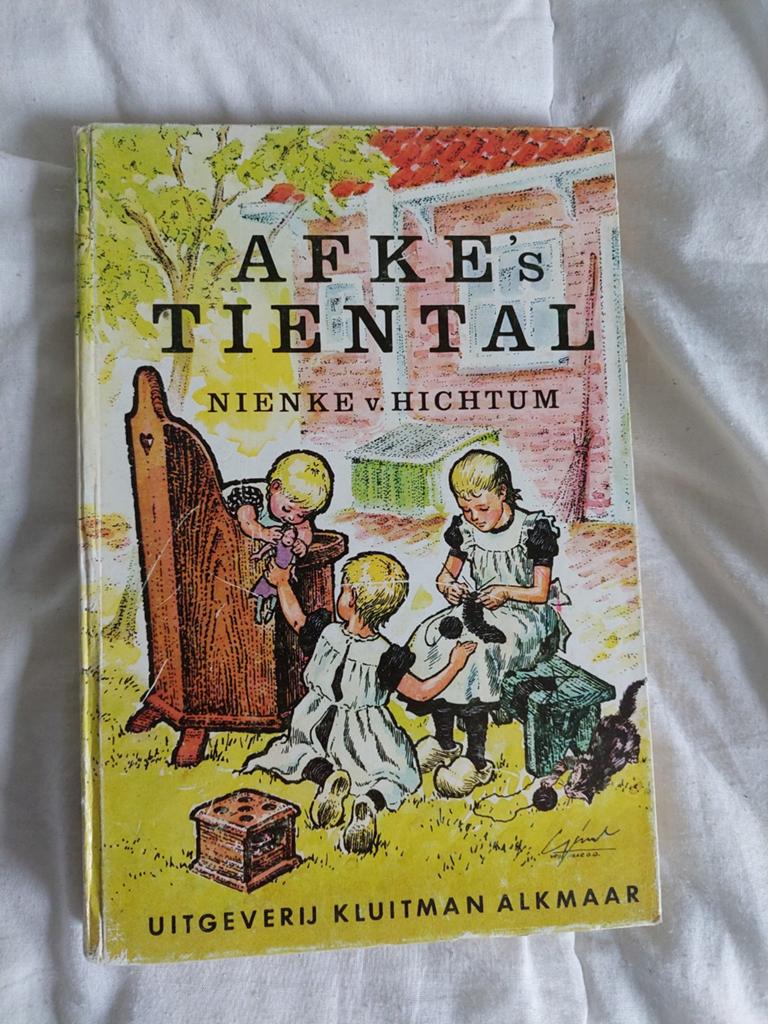 Afke's Tiental - Nienke van Hichtum (Kinderboek), Ophalen of Verzenden, Gelezen, Nienke van Hichtum, Fictie algemeen