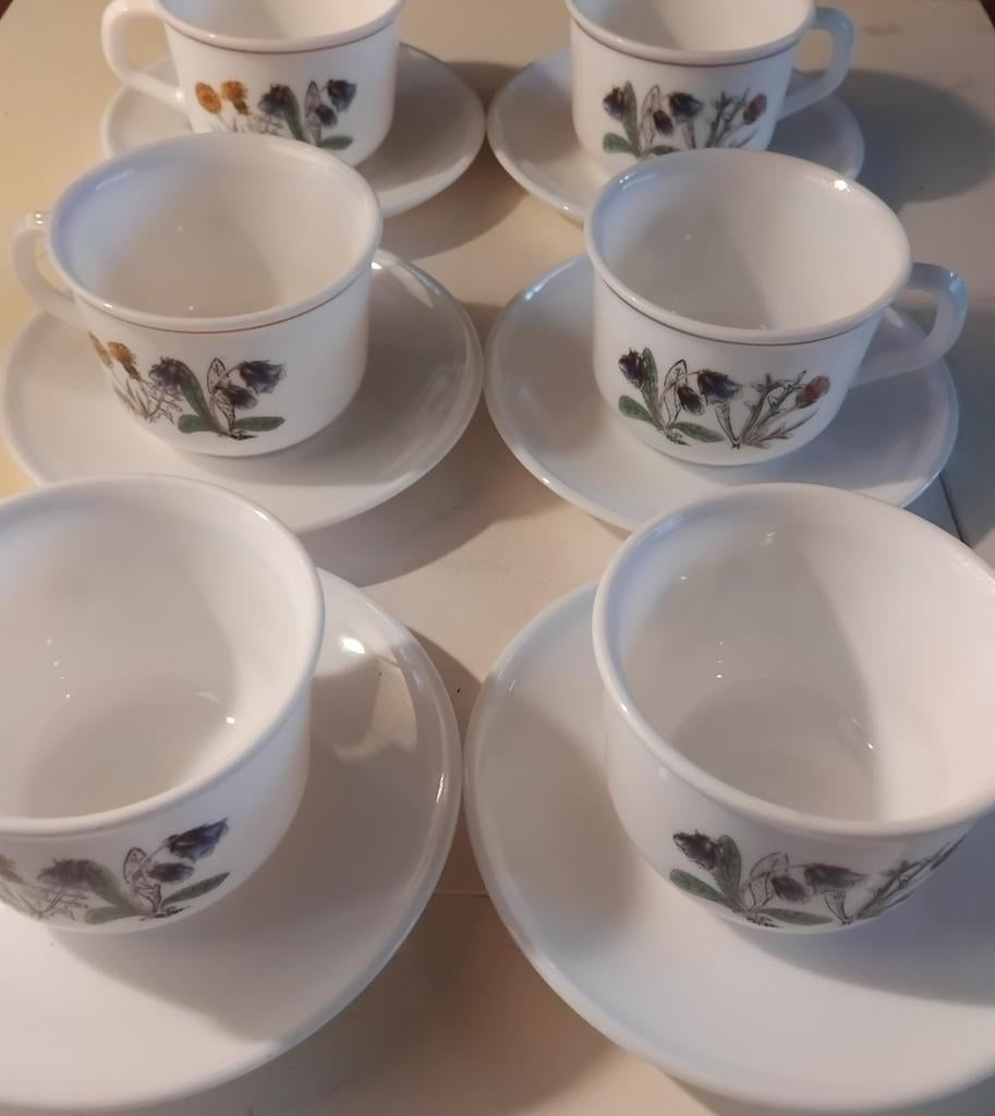6st Vintage Arcopal Opalineglas kop en schotels "Fleur d'Été, Antiek en Kunst, Ophalen of Verzenden