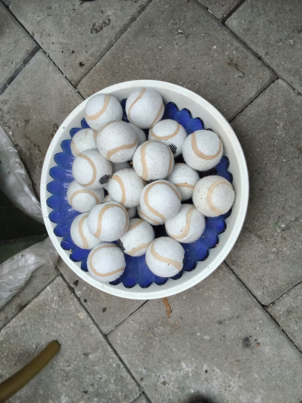 Gebruikte tennisballen voor training of huisdieren, Sport en Fitness, Overige merken, Gebruikt, Ballen, L00