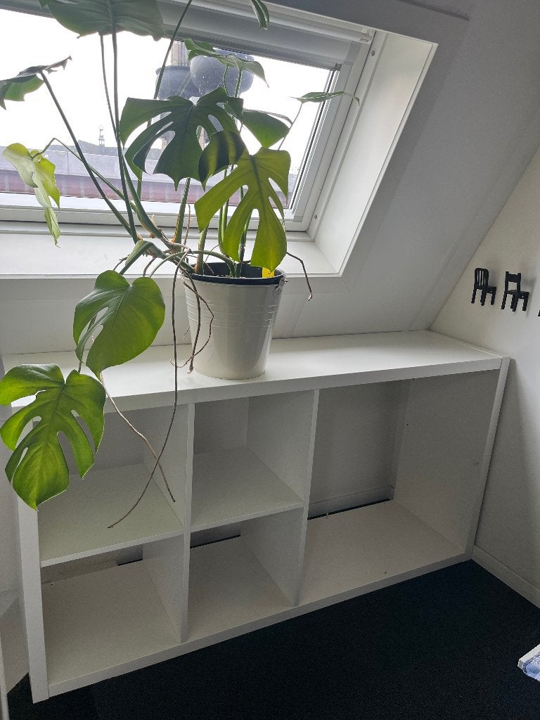 Kallax wit 77x147cm, Ophalen, 50 tot 100 cm, Zo goed als nieuw, Minder dan 100 cm