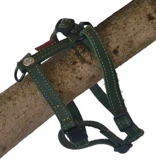 MARTIN SELLIER Nature Harnas Groen Borst 32-35 cm KOOPJE!!!, Ophalen of Verzenden, Nieuw, Hondentuig