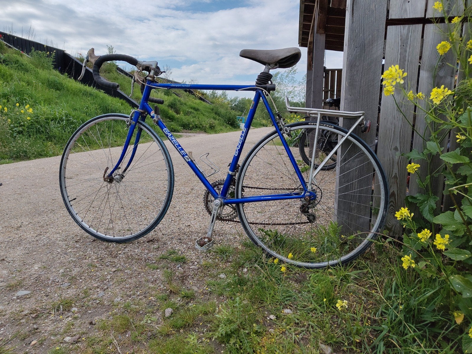 Gazelle Champion Mondial racefiets, Ophalen, Gebruikt, Gazelle, 10 tot 15 versnellingen