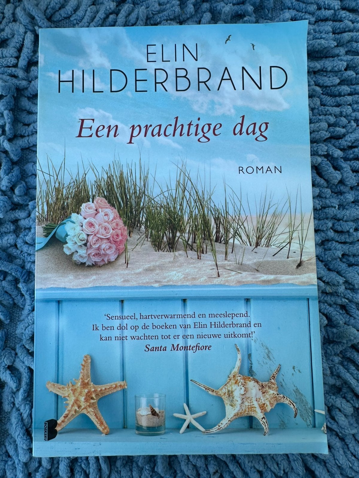 Elin Hilderbrand - Een prachtige dag, Ophalen of Verzenden, Zo goed als nieuw, Elin Hilderbrand