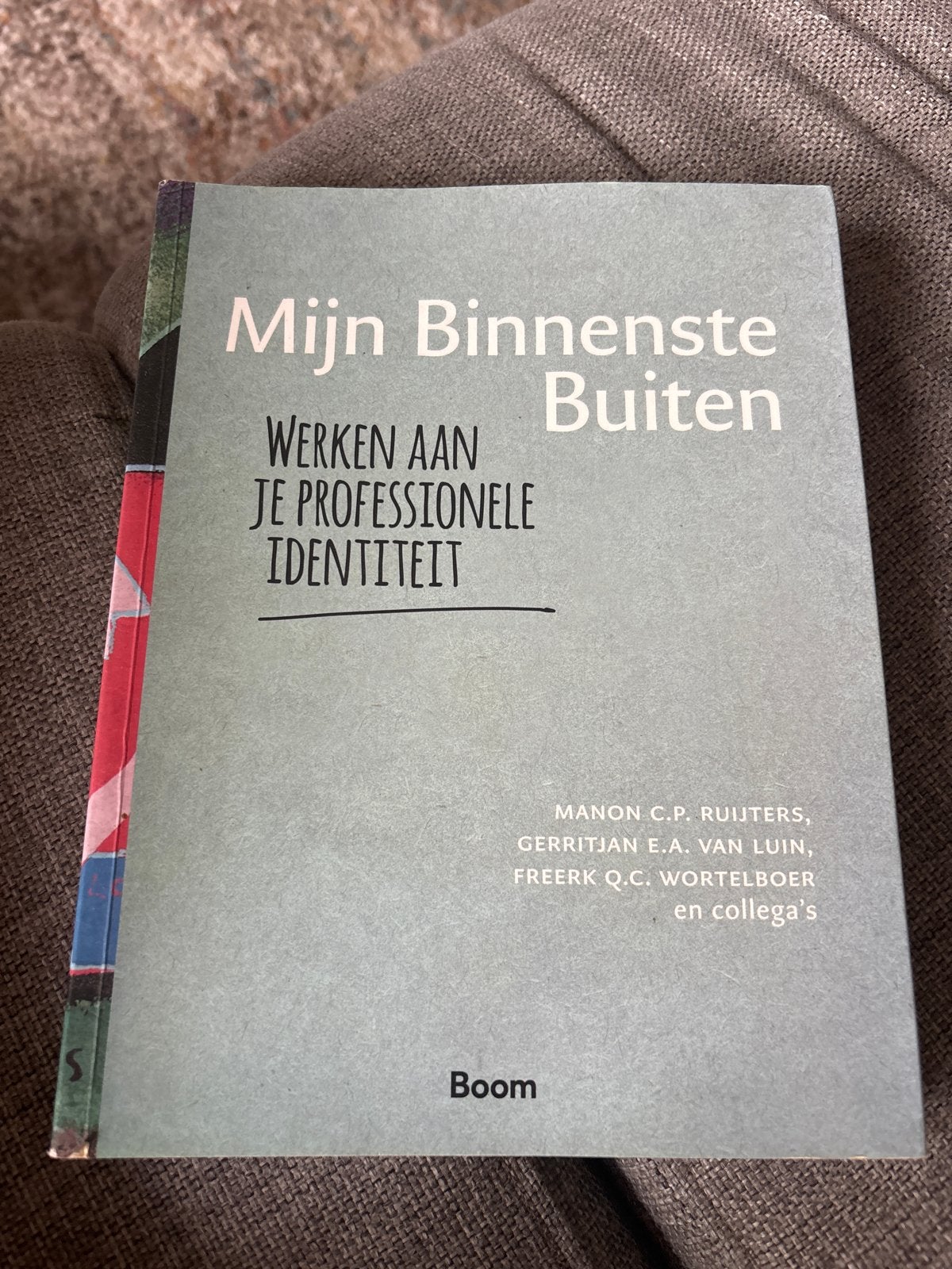 Mijn Binnenste Buiten: Werken aan je professionele identitei, Ophalen of Verzenden, Zo goed als nieuw