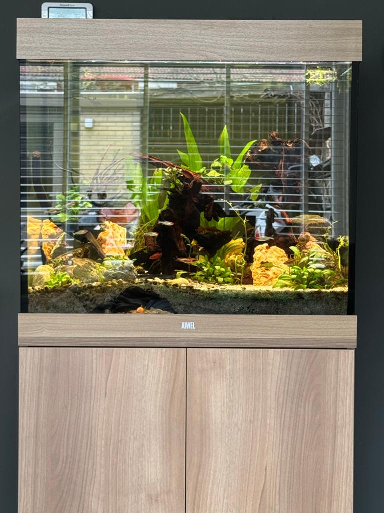 Juwel Lido 200, Ophalen, Verwarming, Gebruikt, Leeg aquarium