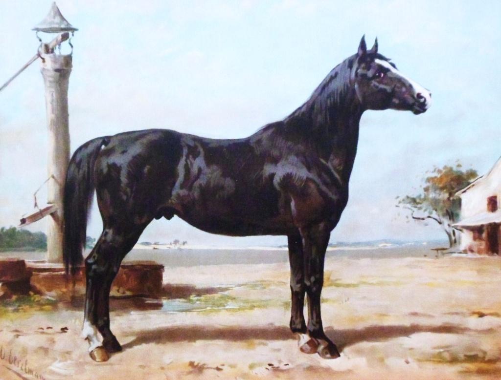 Otto Eerelman.1839-1926.Hongaarse paard no.:24, Antiek en Kunst, Kunst | Schilderijen | Klassiek, Ophalen