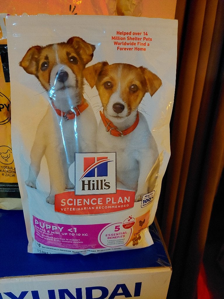 Puppy brokjes, Dieren en Toebehoren, Ophalen, Hond