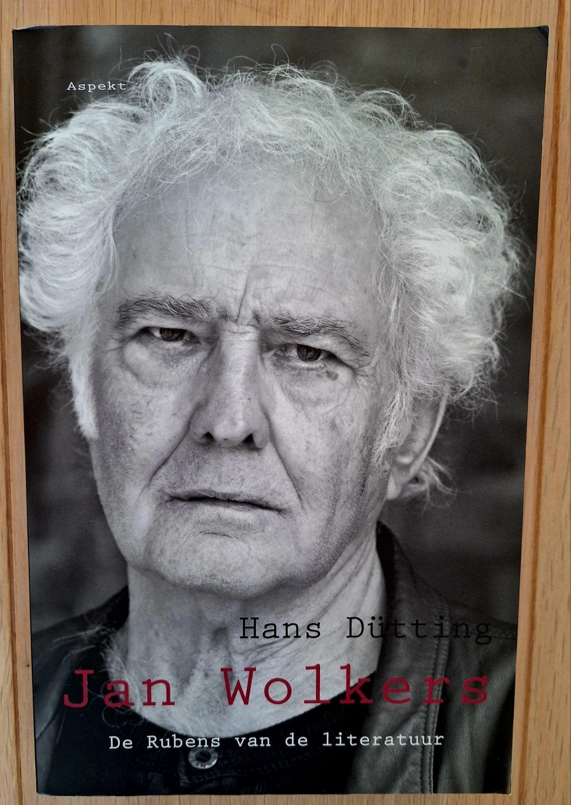 Hans Dütting - Jan Wolkers, Ophalen of Verzenden, Zo goed als nieuw, Kunst en Cultuur