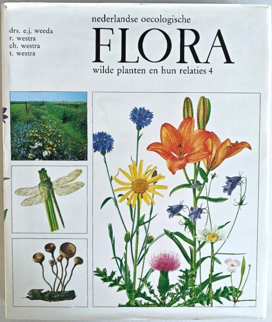 NEDERLANDSE OECOLOGISCHE FLORA, Wilde Planten en Relaties 4., Ophalen of Verzenden, Zo goed als nieuw, Bloemen, Planten en Bomen