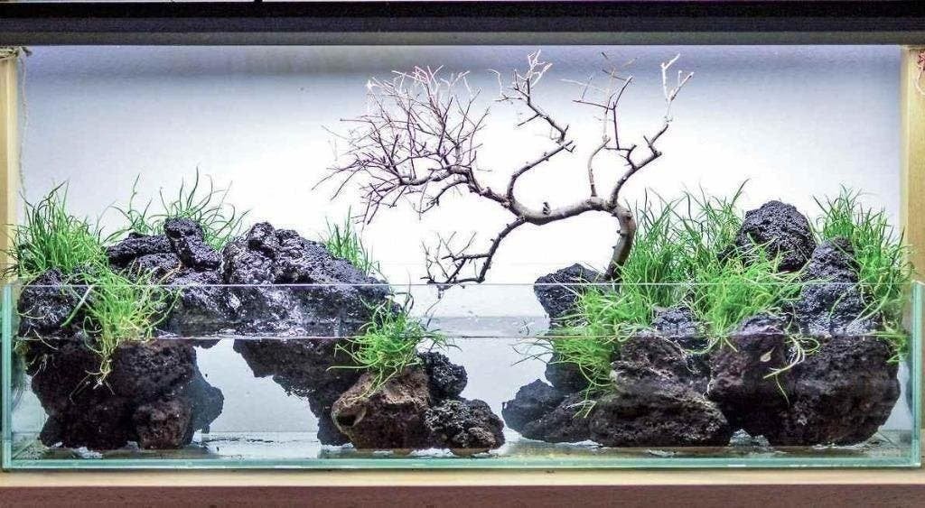 Scapers stenen, de grootste keus aquariumstenen! 30 soorten, Ophalen of Verzenden, Nieuw, Leeg aquarium