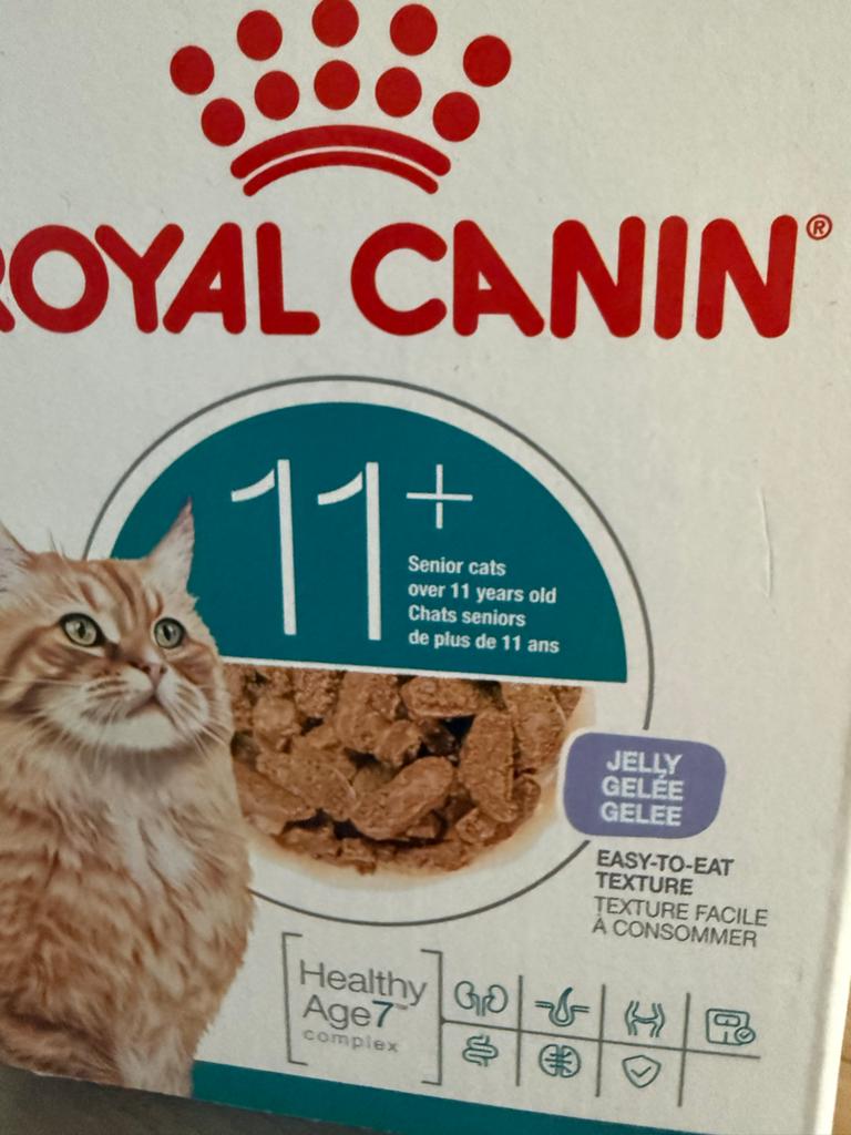 Royal canin natvoer 11+ jelly / gelei senior kat, Dieren en Toebehoren, Ophalen of Verzenden, Kat