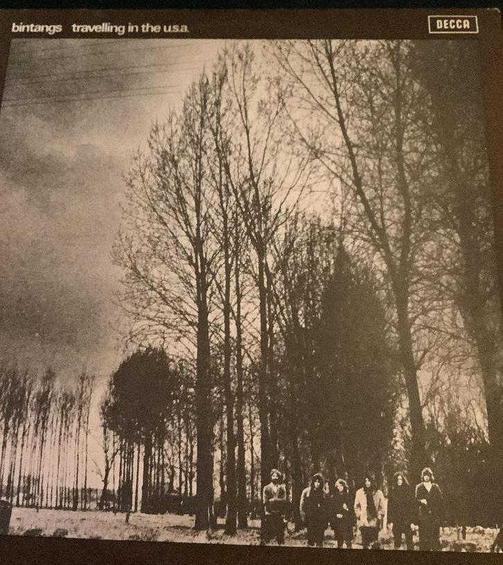 LP Bintangs - Travelling in the U.S.A., Ophalen of Verzenden, Gebruikt, 12 inch, Poprock