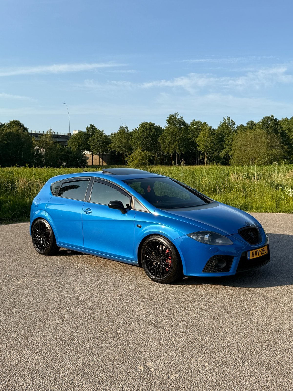 Seat Leon 2.0 Tfsi 16V 177KW Cupra 2008 Blauw, Auto's, Voorwielaandrijving, 1984 cc, Handgeschakeld, Particulier