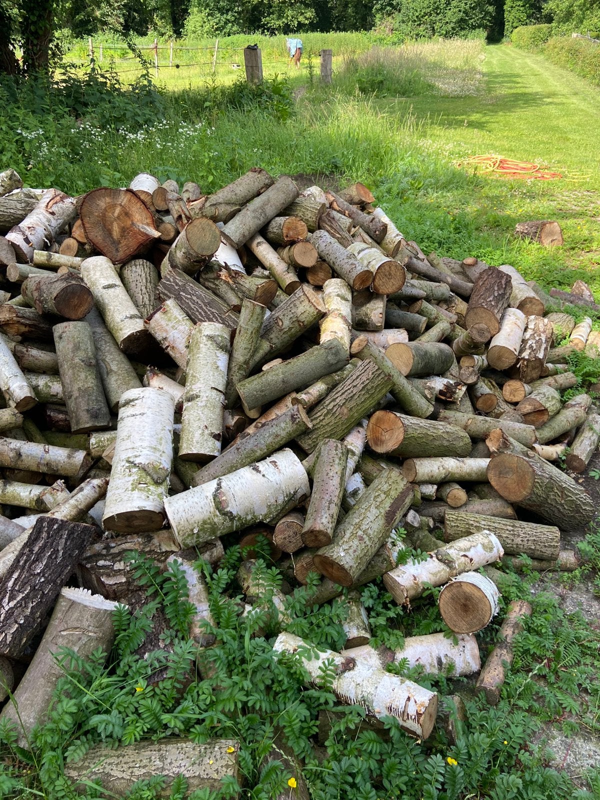Haardhout te koop, Tuin en Terras, Haardhout, Minder dan 3 m³, Ophalen