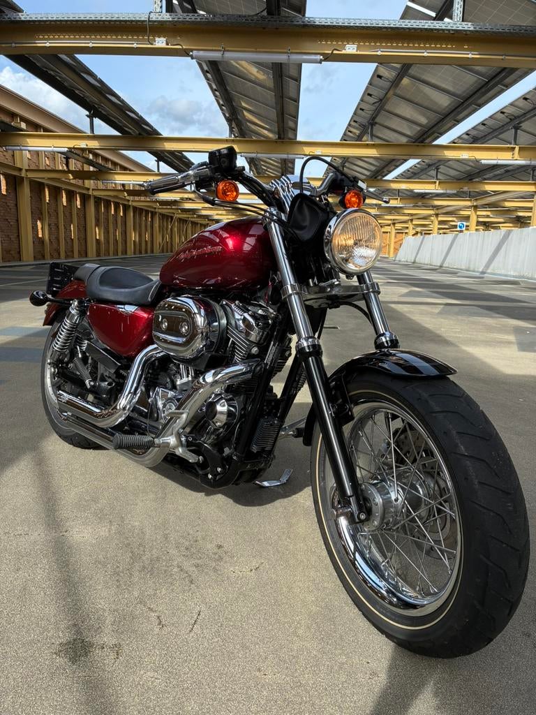 Harley Davidson 1200 Sportster Custom XL1200C, Motoren, Motoren | Harley-Davidson, 2 cilinders, Occasion, Particulier, Meer dan 35 kW
