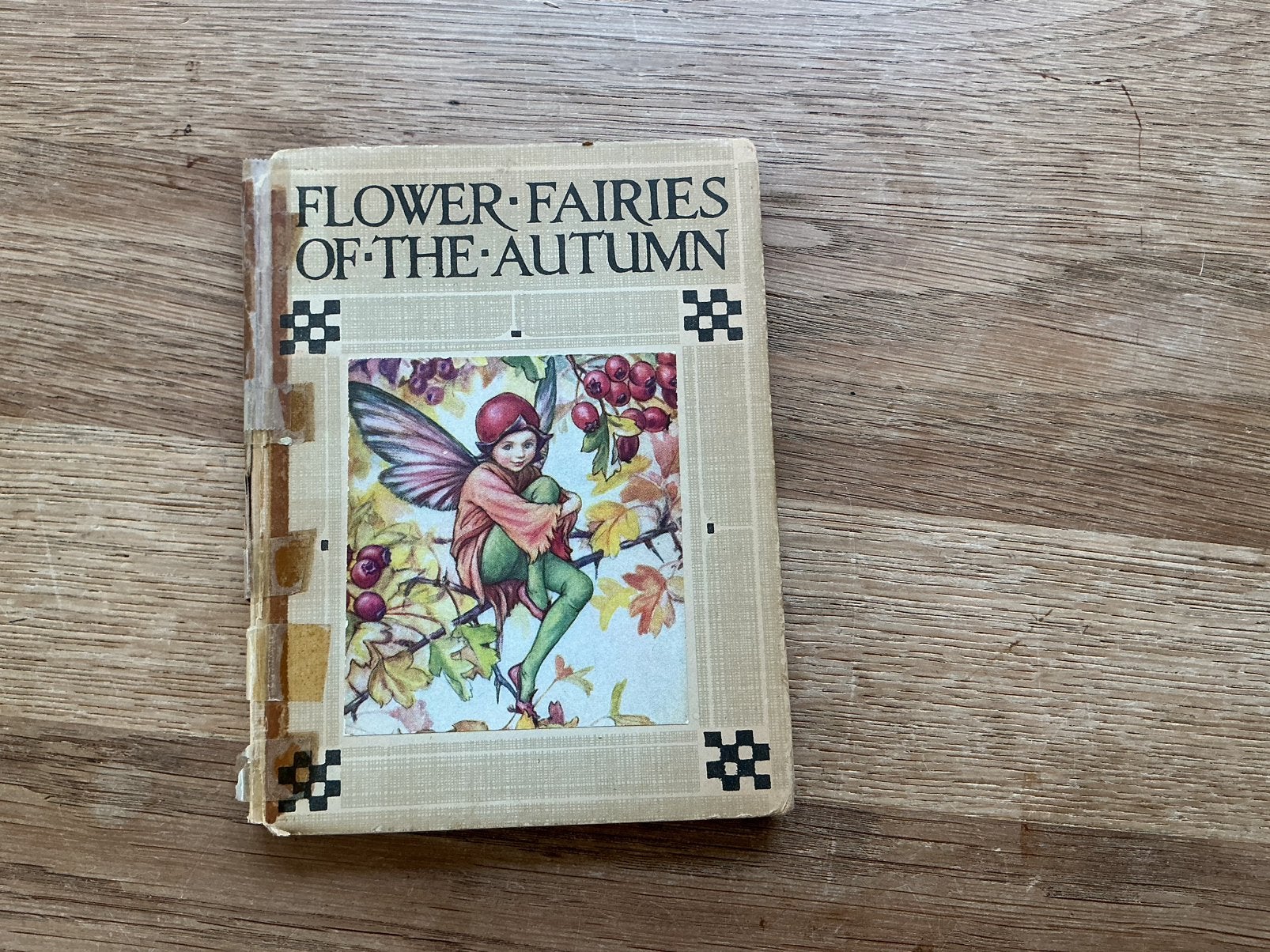 Flower fairies of the Autumn, Ophalen of Verzenden, Gelezen