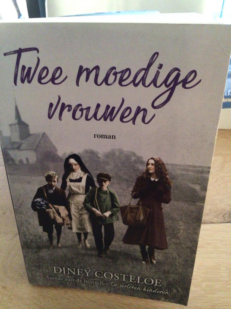 Twee moedige vrouwen - Diney Costeloe (roman), Ophalen of Verzenden, Gelezen, Nederland