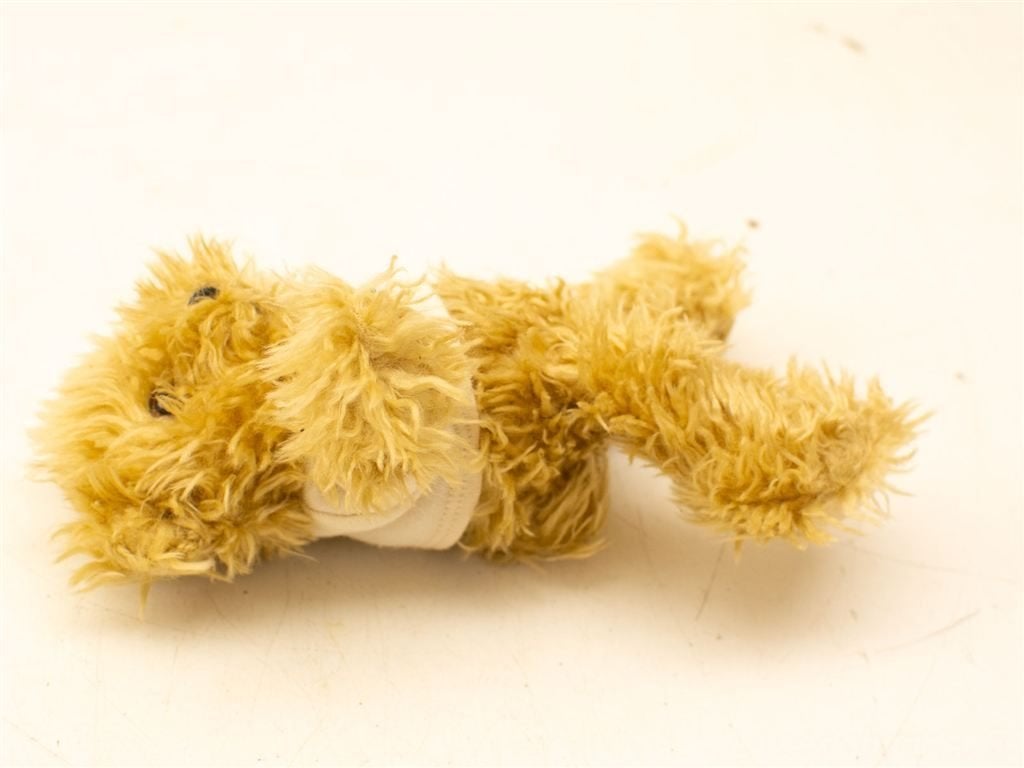 Panema Jack beertje 36881, Verzamelen, Ophalen of Verzenden, Gebruikt, Beeldje, Cherished Teddies