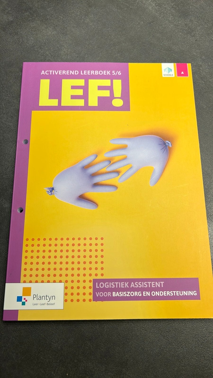 LEF! Activerend Leerboek 5/6 Logistiek Assistent Plantyn, Ophalen of Verzenden, Nieuw, MBO