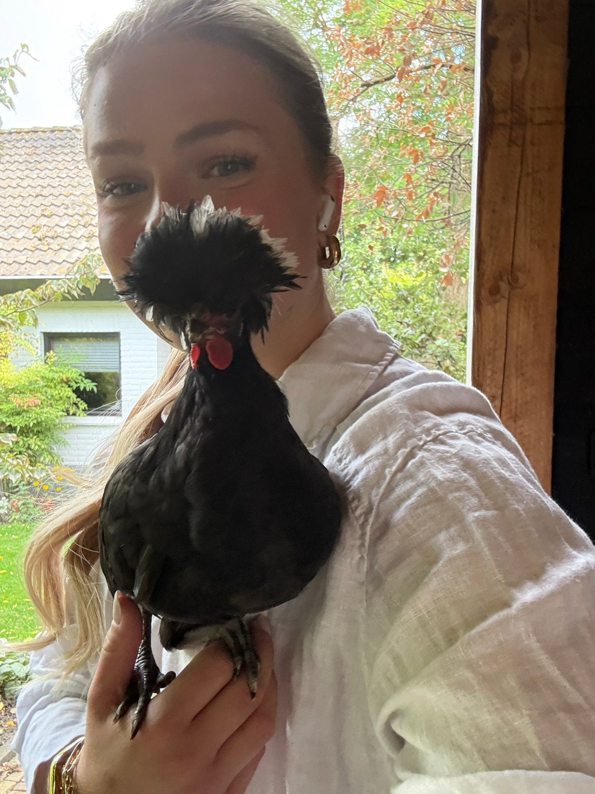 Kuifhoenkriel haan (knuffelkip), Dieren en Toebehoren, Mannelijk, Kip