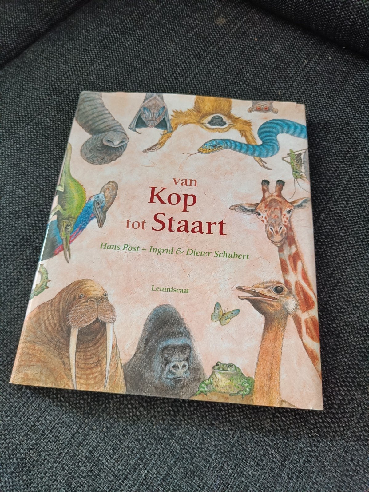 Van Kop tot Staart - Dierenboek voor kinderen, Ophalen of Verzenden, Zo goed als nieuw, Natuur algemeen