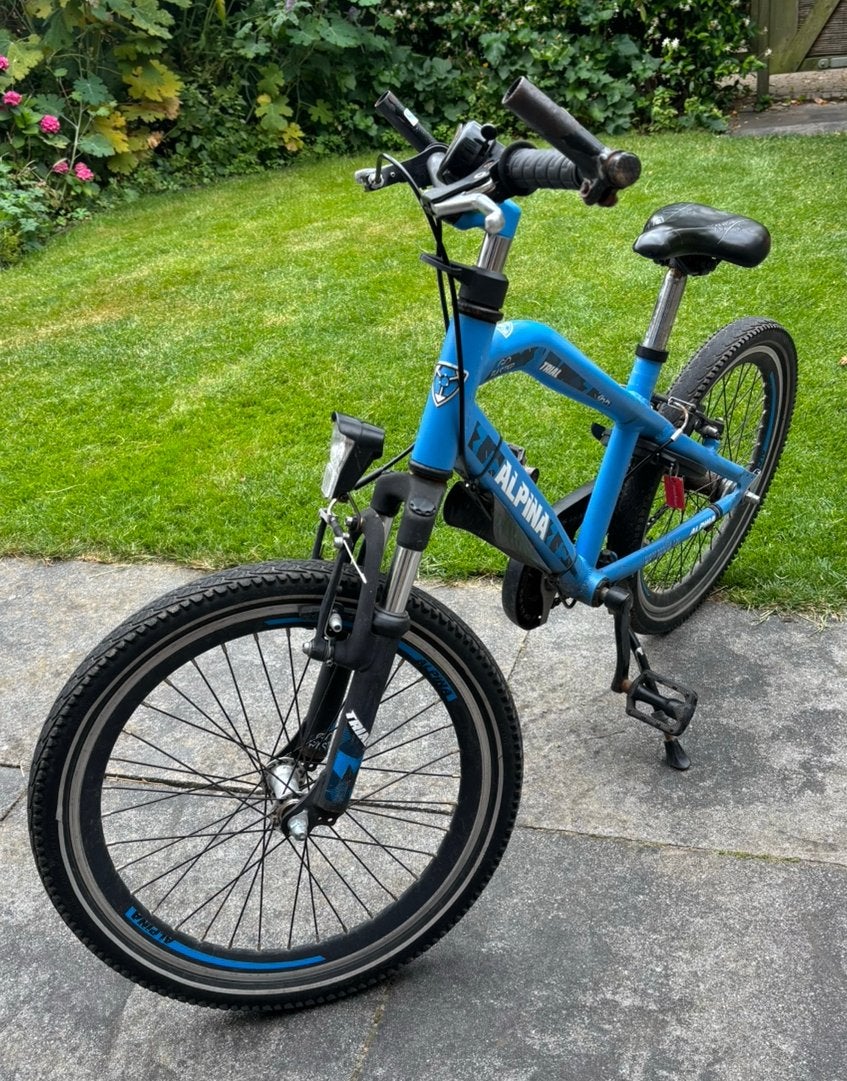 Alpina Trial 20 inch kinderfiets - recent onderhoud, Ophalen, Gebruikt, Velgrem, 20 inch of meer