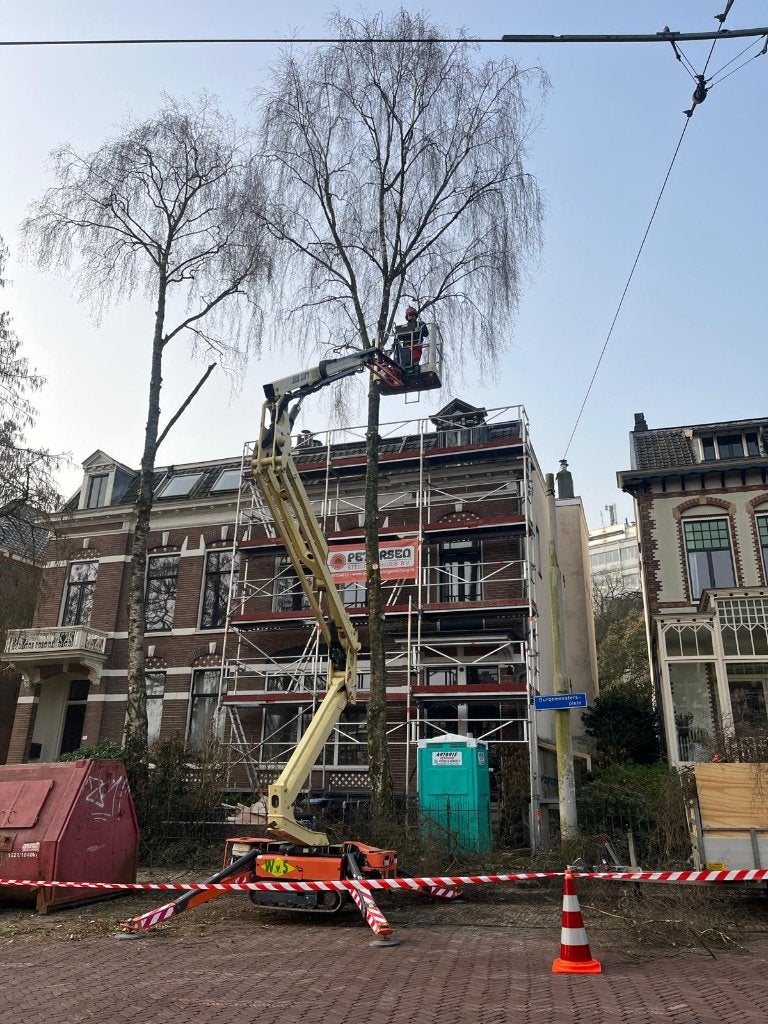 boomrooien snoeien/kappen, Tuinonderhoud of Snoeiwerk