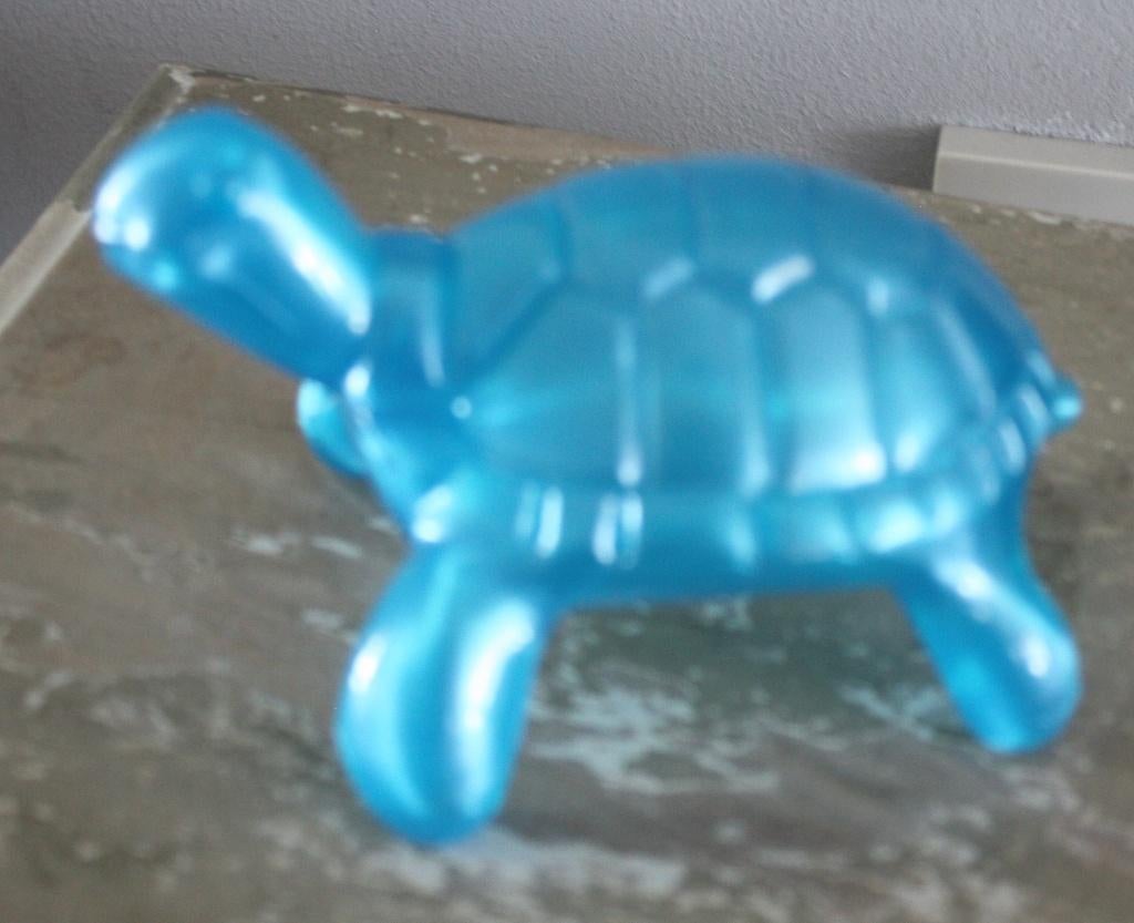 blauw plastic schilpad, Ophalen of Verzenden, Gebruikt