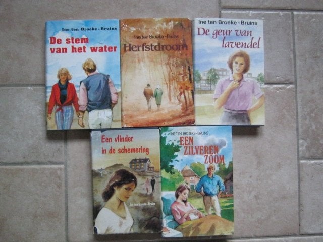 5 x Ine ten Broeke Bruins Lavendel / Herfstdroom /nr 503, Verzenden, Gelezen