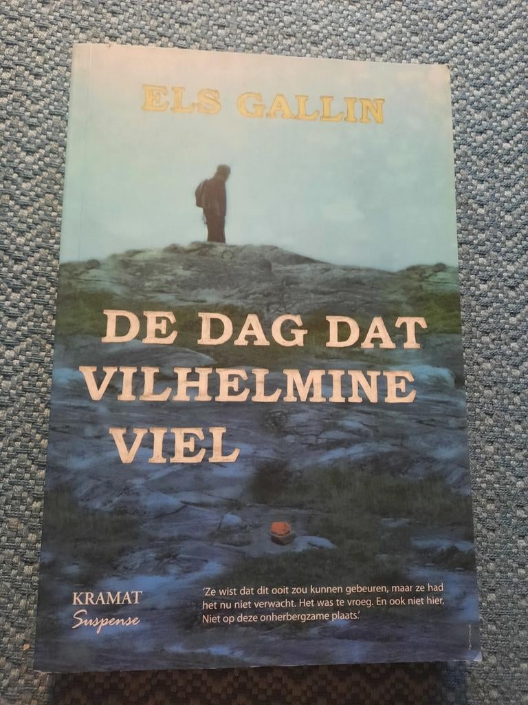 De Dag Dat Vilhelmine Viel - Els Gallin (Paperback), Ophalen of Verzenden, Zo goed als nieuw, Els Gallin