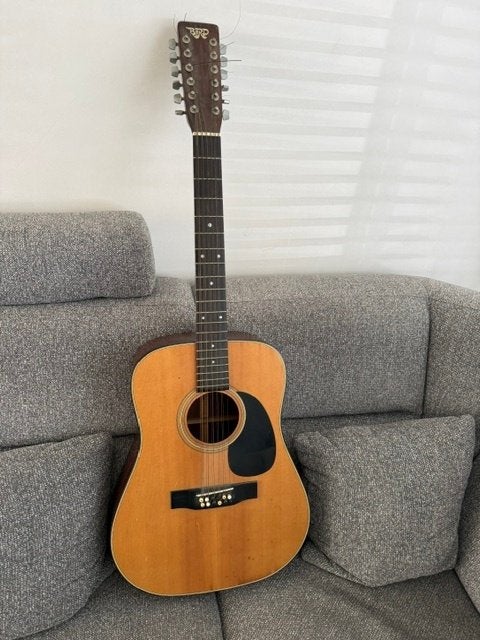 12 snarige Bird western gitaar, Muziek en Instrumenten, Ophalen, Gebruikt, Western- of Steelstringgitaar, 12-snarig
