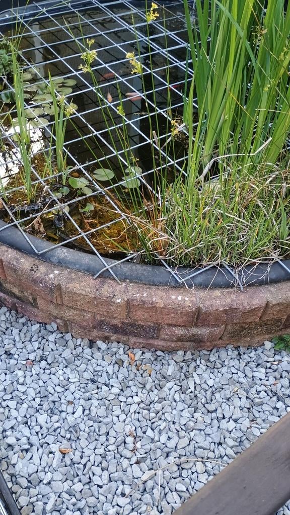 Stapel stenen, Ophalen of Verzenden, Rond, Steen, Minder dan 30 cm