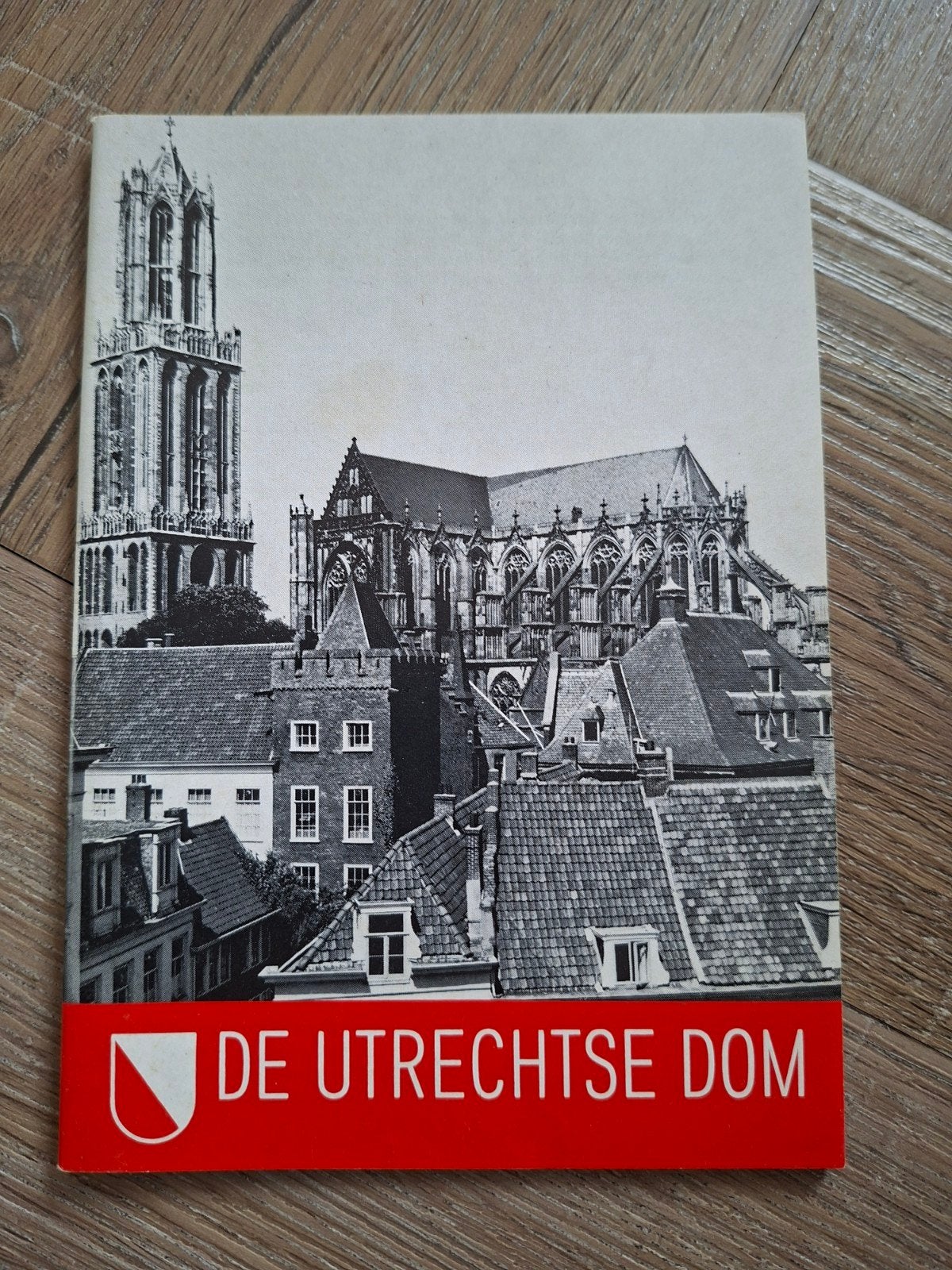 De Utrechtse Dom - Historische Gids, Boeken, Ophalen of Verzenden, 20e eeuw of later, Gelezen