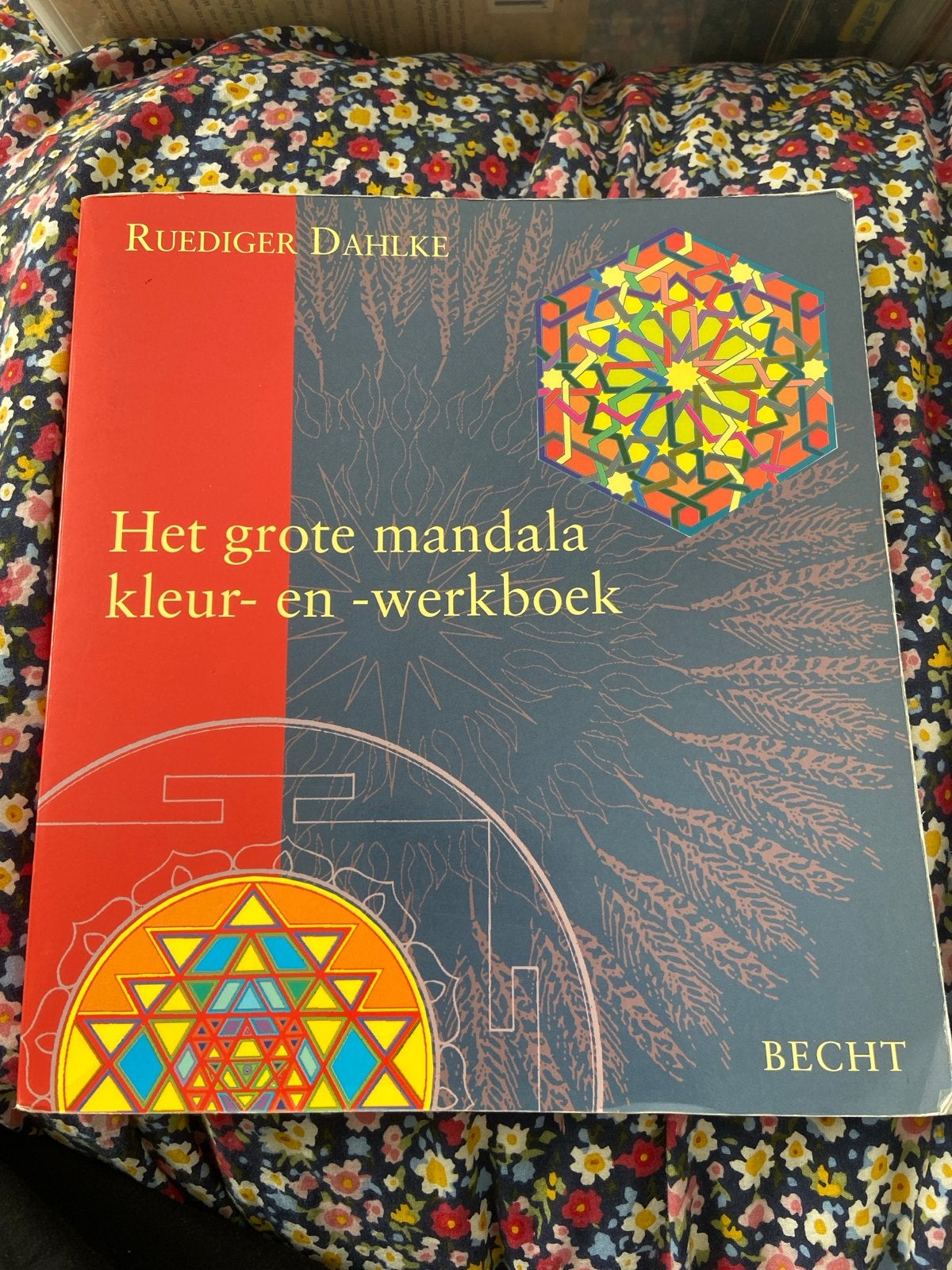 Het grote mandala kleur- en -werkboek - Ruediger Dahlke, Ophalen, Zo goed als nieuw, Meditatie of Yoga, Instructieboek