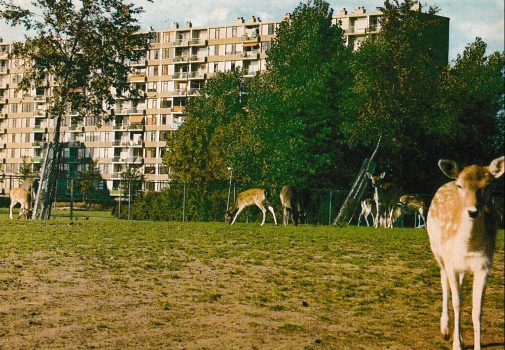Gorinchem            388a, Ophalen of Verzenden, Voor 1920, Zuid-Holland