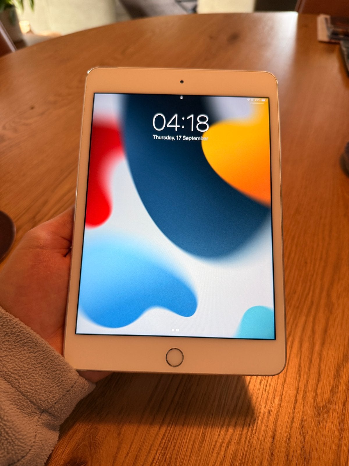 iPad Mini 4 - 128GB - 4g SIM slot - Wifi & Mobiel Internet, Computers en Software, 8 inch, Zo goed als nieuw, 128 GB, Wi-Fi en Mobiel internet